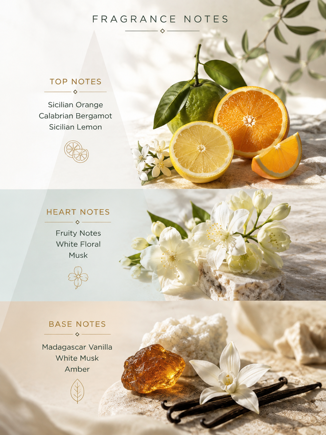 Citrus Bloom